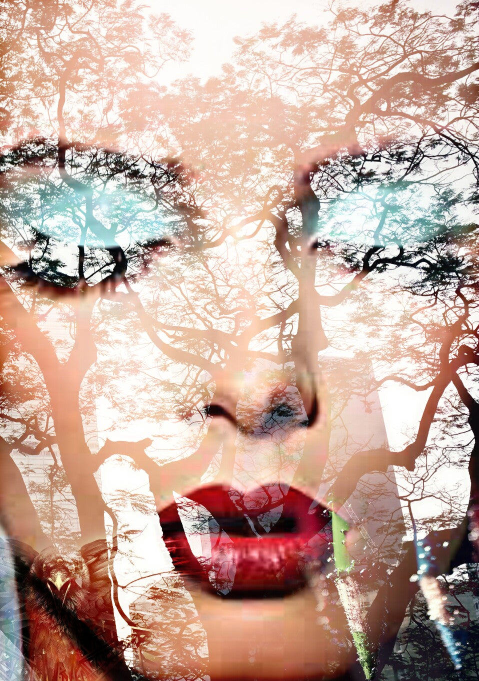 PRINT (print on photographic paper) SKIN N°1